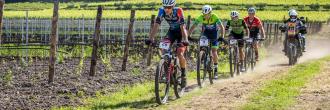 Monselice in Rosa 2024